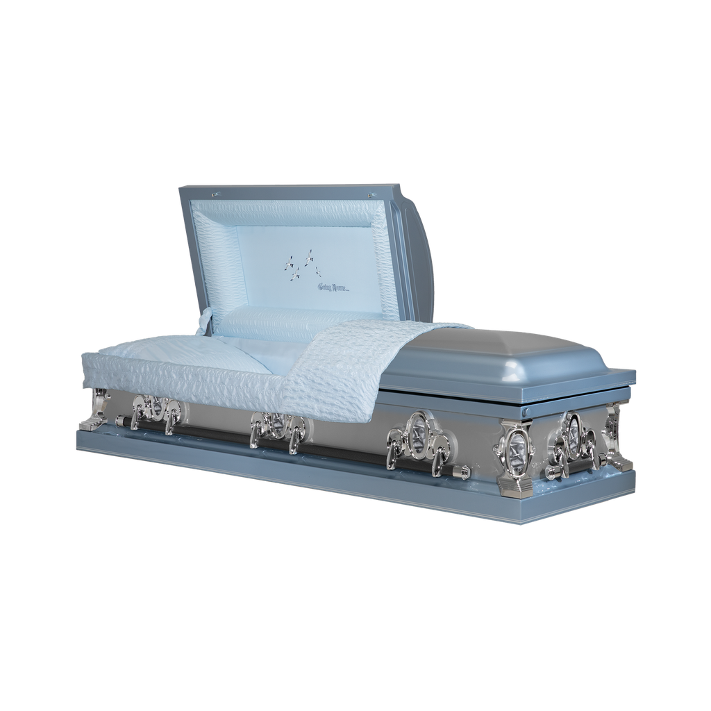 20ga Avalon Going Home