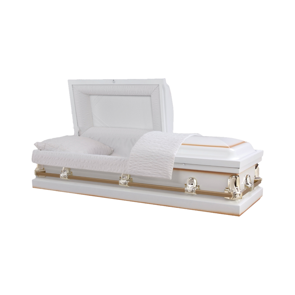 20ga Sierra White/Gold