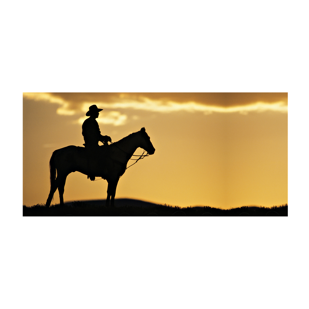 Cowboy - Panel